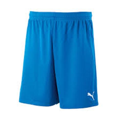 Puma Short (701945-02) 